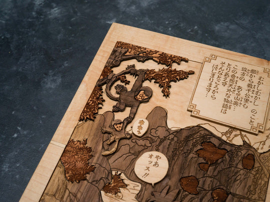 Dragon Ball Perfect Edition Tome 1