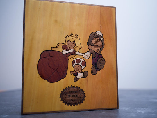 Mario Bros 3 Game case