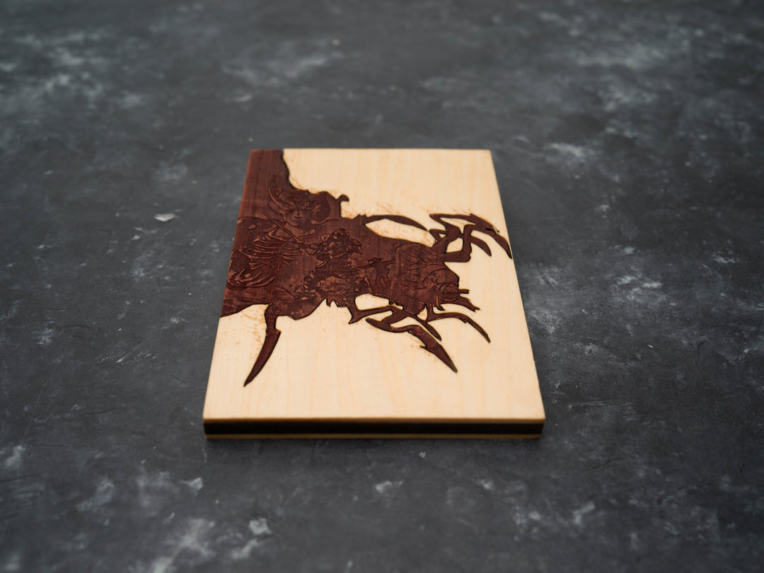 Dragon Age Orgins Xbox 360 Cover Replica