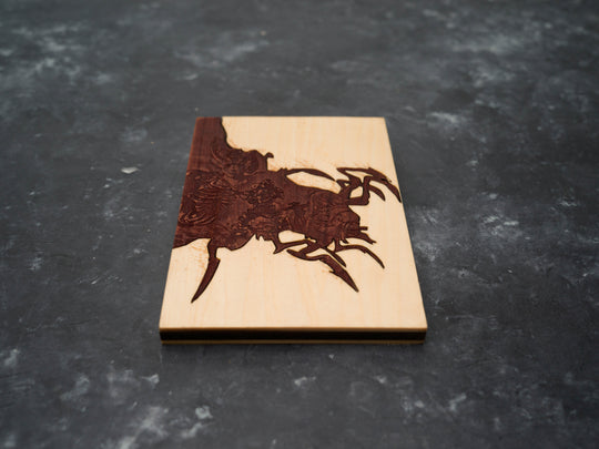 Dragon Age Orgins Xbox 360 Cover Replica